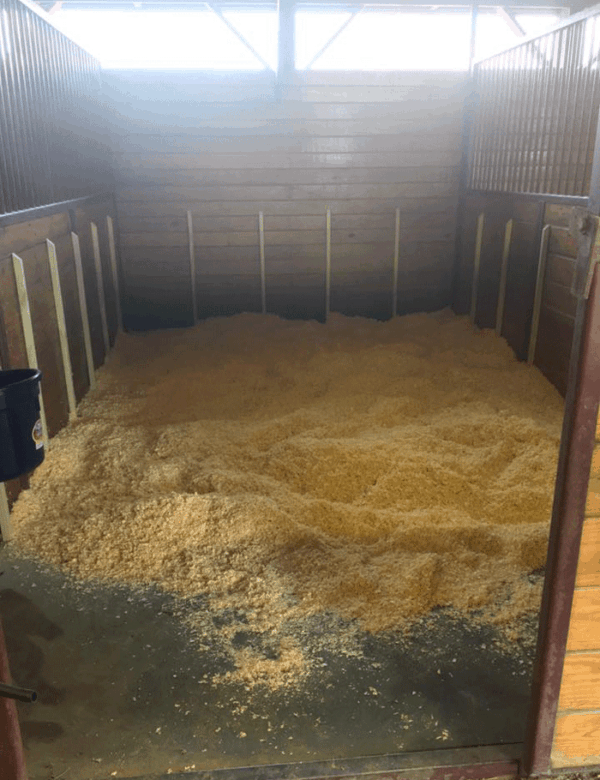 16' X 10' Matted Stall with Casting Strips Meadowbrook Farm