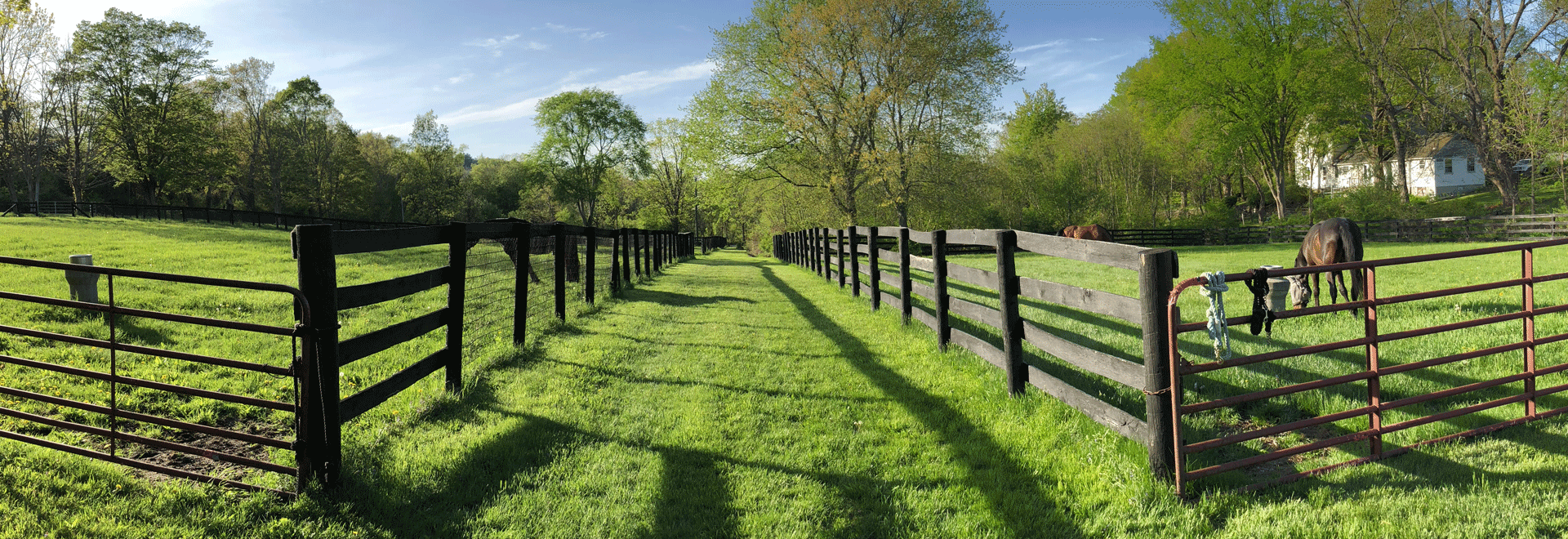 Equine Facility Meadowbrook Farm Marlborough, CT