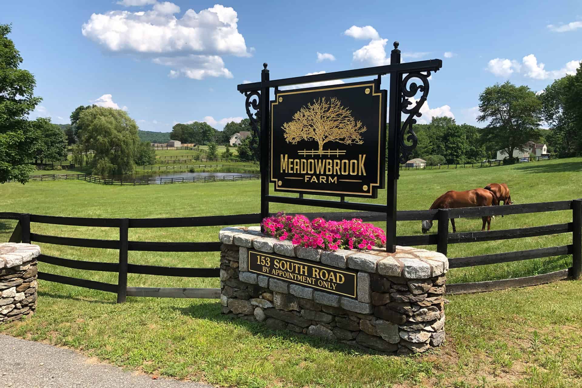 Meadowbrook Farm Marlborough, CT Dressage Boarding & Training Farm